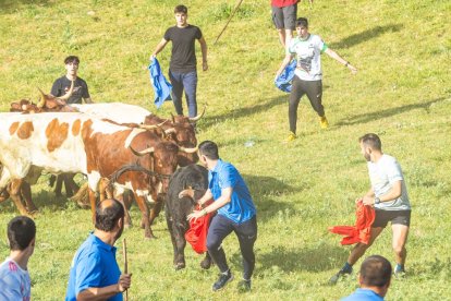 Tradicional 'Lavalengüillas' en Valonsadero