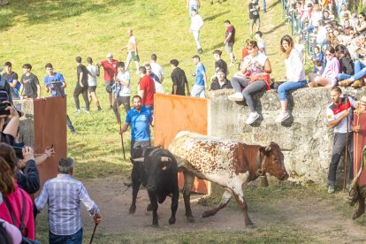 Tradicional 'Lavalengüillas' en Valonsadero