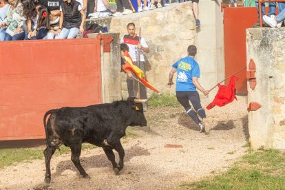 Tradicional 'Lavalengüillas' en Valonsadero