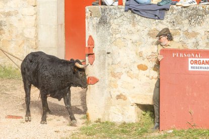 Tradicional 'Lavalengüillas' en Valonsadero