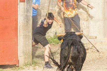 Tradicional 'Lavalengüillas' en Valonsadero
