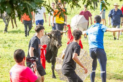 Tradicional 'Lavalengüillas' en Valonsadero
