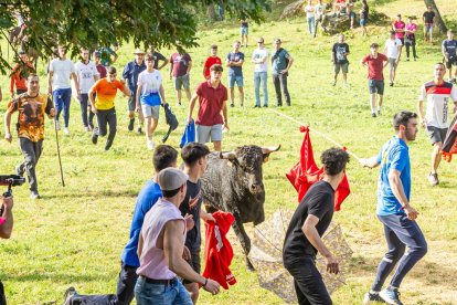 Tradicional 'Lavalengüillas' en Valonsadero