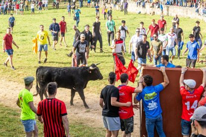 Tradicional 'Lavalengüillas' en Valonsadero
