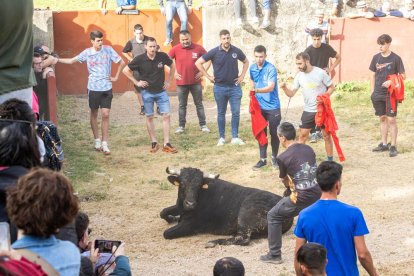 Tradicional 'Lavalengüillas' en Valonsadero