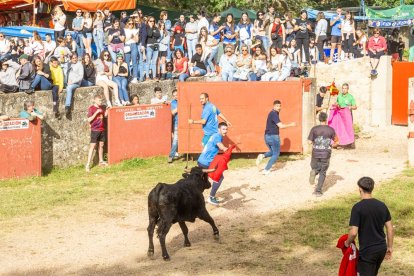 Tradicional 'Lavalengüillas' en Valonsadero