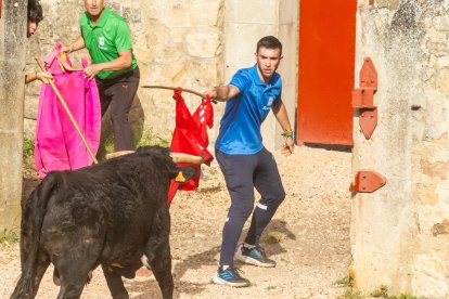 Tradicional 'Lavalengüillas' en Valonsadero