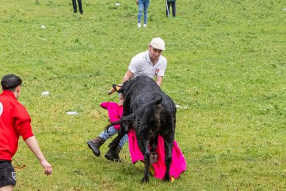 Un Lavalenguas vespertino pasado por agua