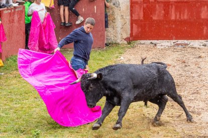 Un Lavalenguas vespertino pasado por agua