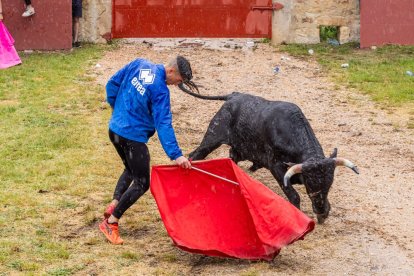 Un Lavalenguas vespertino pasado por agua