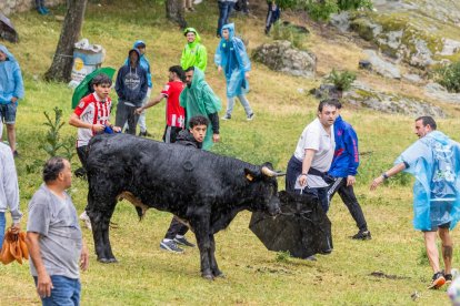 Un Lavalenguas vespertino pasado por agua