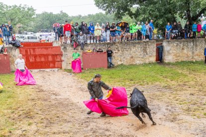 Un Lavalenguas vespertino pasado por agua