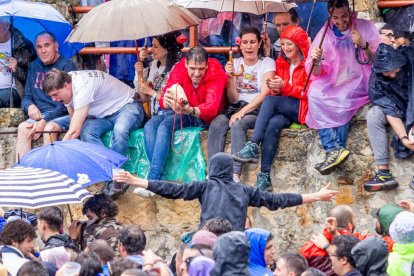 Un Lavalenguas vespertino pasado por agua