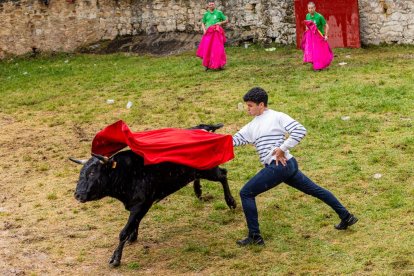 Un Lavalenguas vespertino pasado por agua