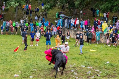 Un Lavalenguas vespertino pasado por agua