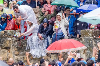Un Lavalenguas vespertino pasado por agua