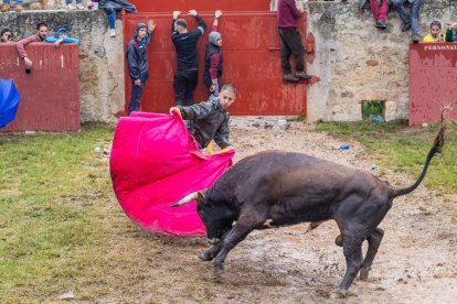 Un Lavalenguas vespertino pasado por agua