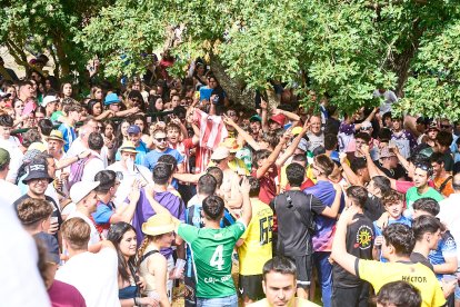 Soria celebra en Valonsadero La Compra 2024, el último acto previo a San Juan.