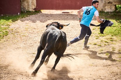 Soria celebra en Valonsadero La Compra 2024, el último acto previo a San Juan.