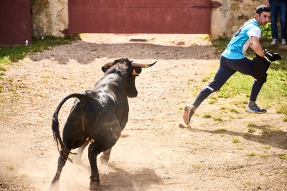 Soria celebra en Valonsadero La Compra 2024, el último acto previo a San Juan.