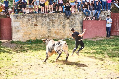 Soria celebra en Valonsadero La Compra 2024, el último acto previo a San Juan.