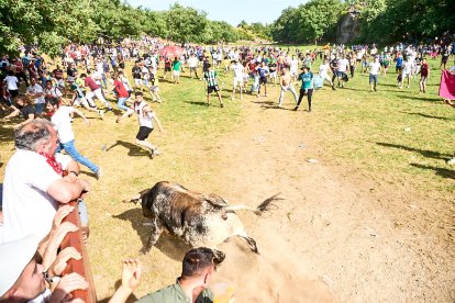 Soria celebra en Valonsadero La Compra 2024, el último acto previo a San Juan.