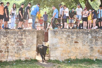 Soria celebra en Valonsadero La Compra 2024, el último acto previo a San Juan.