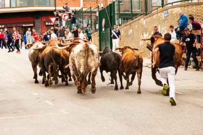 Encierro de la ACT Soriana de Encierros.