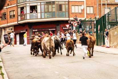 Encierro de la ACT Soriana de Encierros.