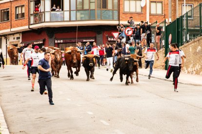 Encierro de la ACT Soriana de Encierros.