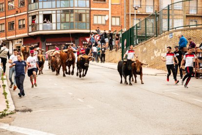 Encierro de la ACT Soriana de Encierros.