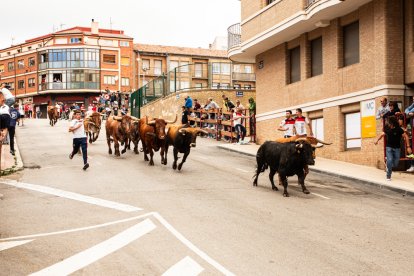 Encierro de la ACT Soriana de Encierros.
