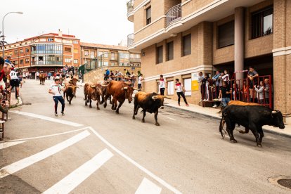 Encierro de la ACT Soriana de Encierros.