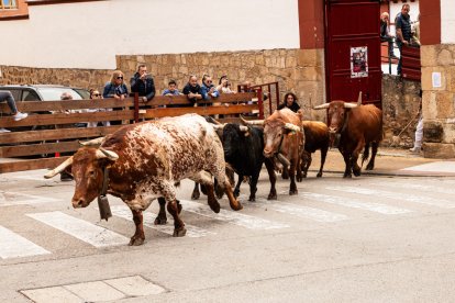 Encierro de la ACT Soriana de Encierros.
