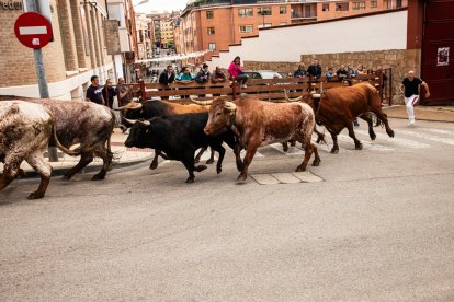 Encierro de la ACT Soriana de Encierros.