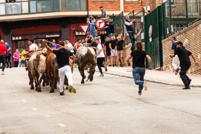 Encierro de la ACT Soriana de Encierros.