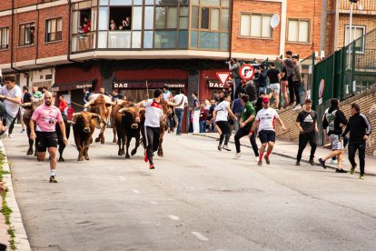 Encierro de la ACT Soriana de Encierros.