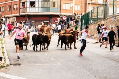 Encierro de la ACT Soriana de Encierros.