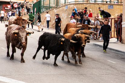 Encierro de la ACT Soriana de Encierros.