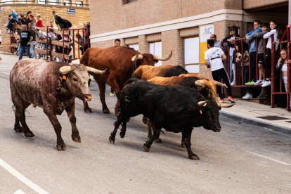 Encierro de la ACT Soriana de Encierros.