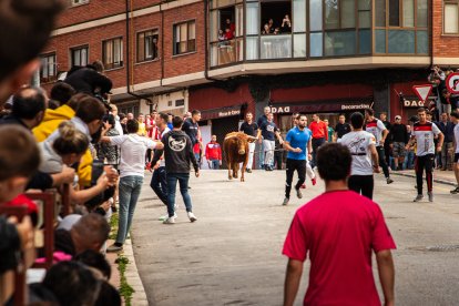 Encierro de la ACT Soriana de Encierros.