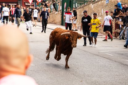 Encierro de la ACT Soriana de Encierros.