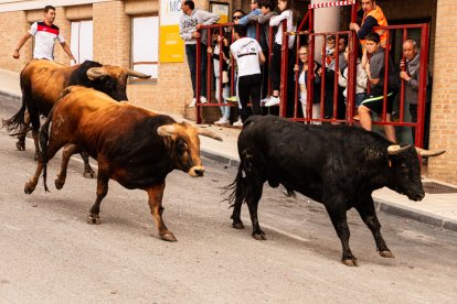 Encierro de la ACT Soriana de Encierros.