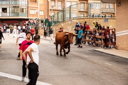 Encierro de la ACT Soriana de Encierros.