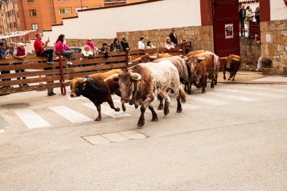 Encierro de la ACT Soriana de Encierros.
