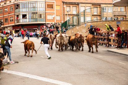 Encierro de la ACT Soriana de Encierros.