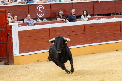 Andy Cartagena, Diego Ventura y Lea Vicens dieron el pistoletazo de salida a la Feria