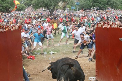 El primero de los toros que ha salid.