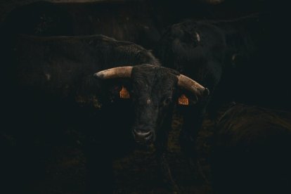 Espectaculares imágenes desde el Monte Valonsadero