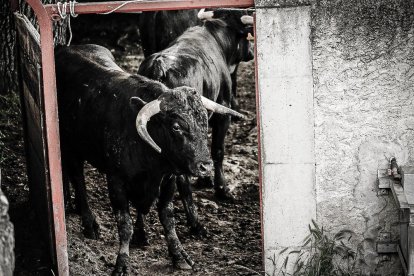 Espectaculares imágenes desde el Monte Valonsadero